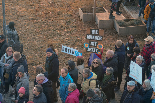 Eine Gruppe Menschen auf eine Demonstration. Sie halten Schilder hoch mit den Aufschriften 'Ekelh-AfD' und 'Nie wieder ist jetzt'