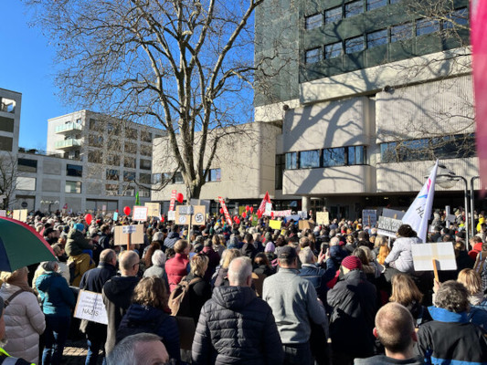 Eine große Menschenmenge versammelt sich im Freien zu einem Protest. Die Menschen halten Schilder und Fahnen hoch, umgeben von Bäumen und städtischen Gebäuden im Hintergrund. (c)Vera Meister