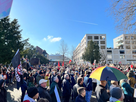 Eine große Menschenmenge versammelt sich im Freien zu einem Protest. Die Menschen halten Schilder und Fahnen hoch, umgeben von Bäumen und städtischen Gebäuden im Hintergrund. (c) Vera Meister